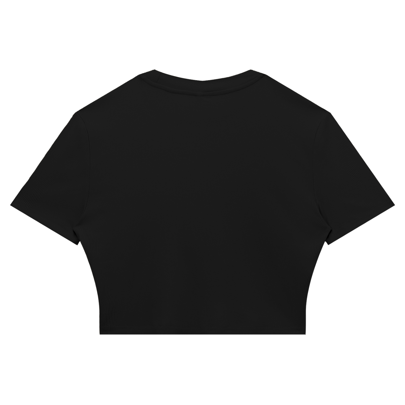 USA Crop T-Shirt
